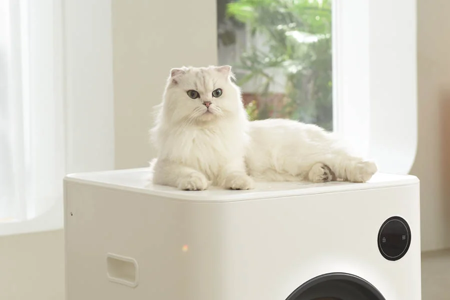 are self cleaning litter boxes worth it