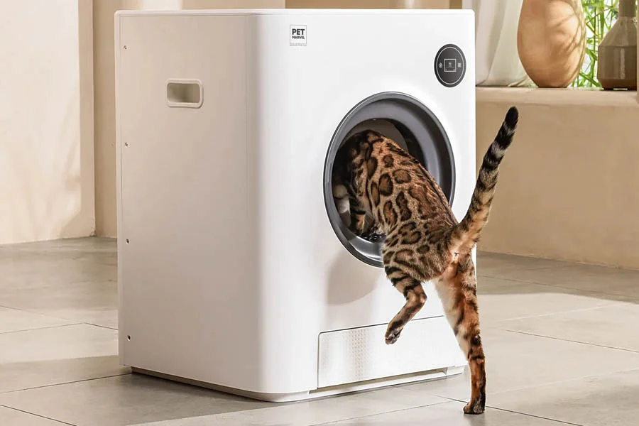 automatic litter box reviews